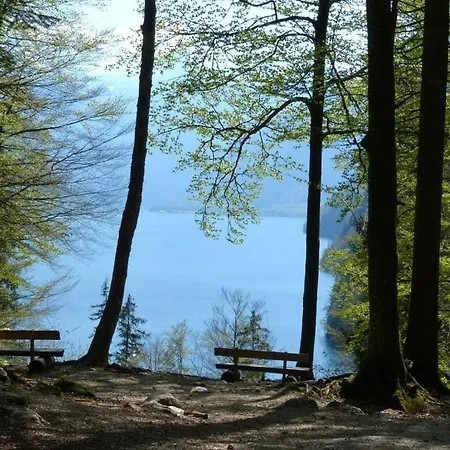 Daire Fairytale Forest With Pool And Sauna *